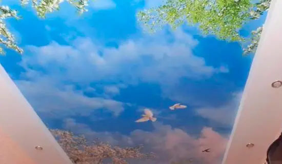 Потолок с фотопечатью